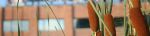 nyc_high_line_IMG_5038.jpg
